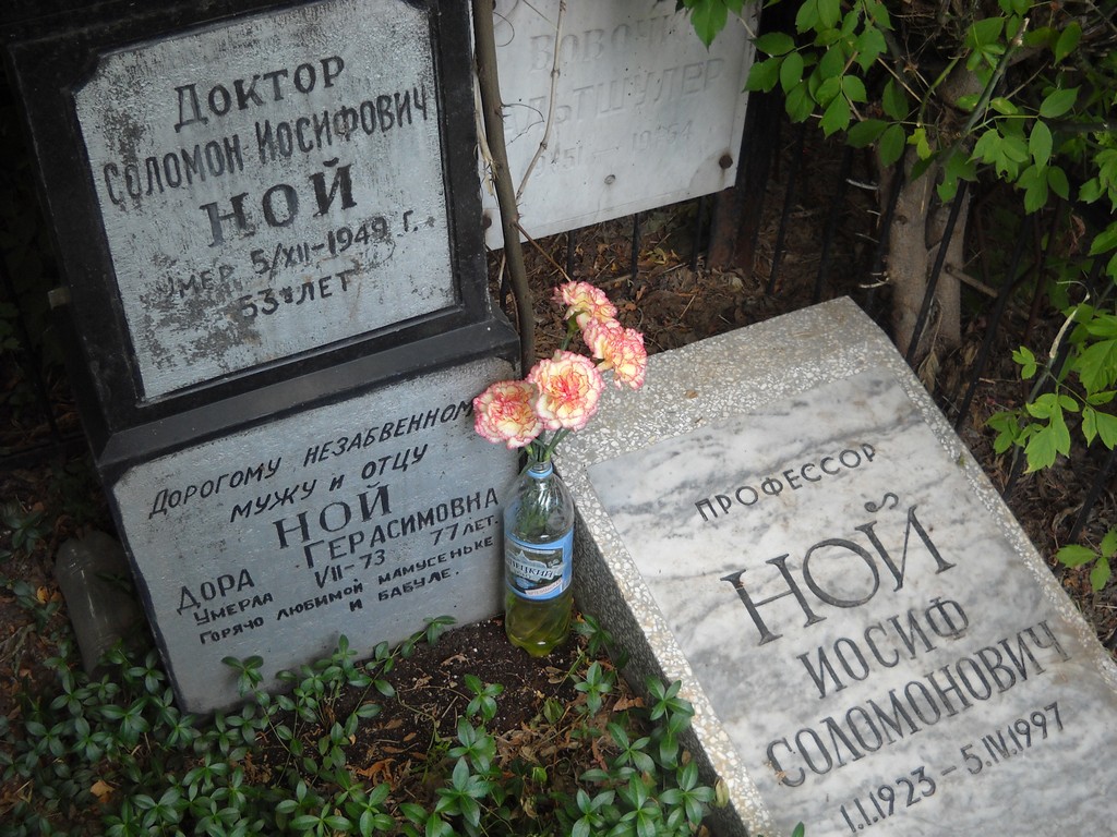 Альтшулер Вовочка , Саратов, Еврейское кладбище